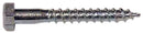Verzinkte schroef 8x60mm voor plug 1 stuk