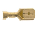 Vrouwelijke/mannelijke terminal met haak van 6,3 mm
