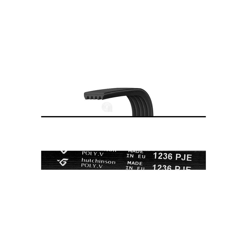 WHIRLPOOL INDESIT - Correa Poly-V J4 1236 Lavadora - AST-00126541