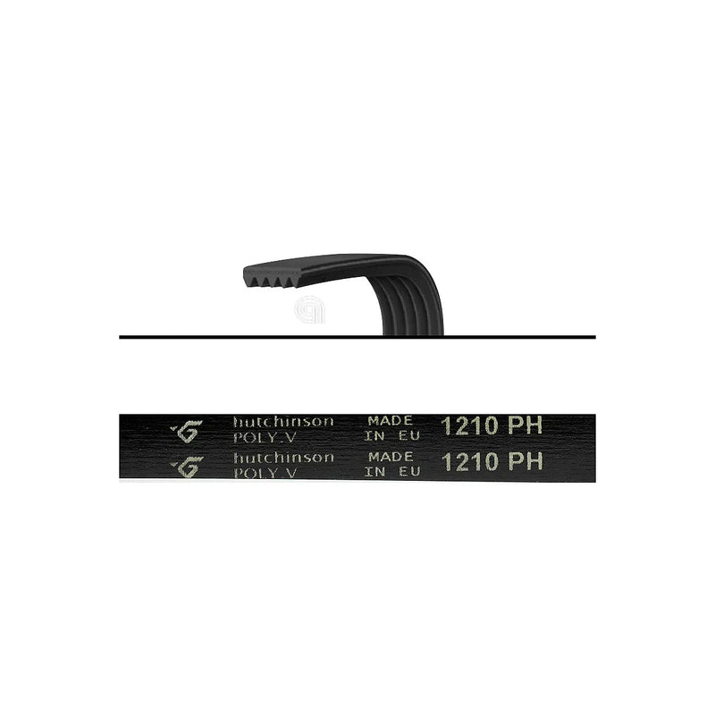 CREDA, INDESIT, HOTPOINT - Correa de lavadora 1210 H7 - C00203999