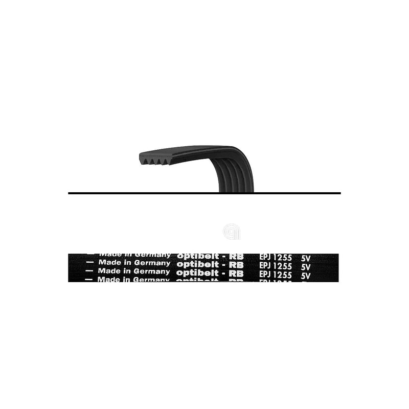 BOSCH - Correa Transmisión Lavadora 1255 J5 - 00439490