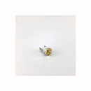 Termostato 165° original cafetera Didiesse Frog FR020