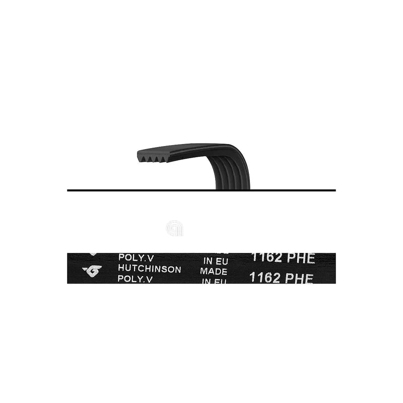 ATLANT - Correa Poly-V H7 para Lavadora - 908092003041