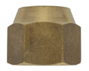 Koelmoer SAE 3/4'' H | 03TF075