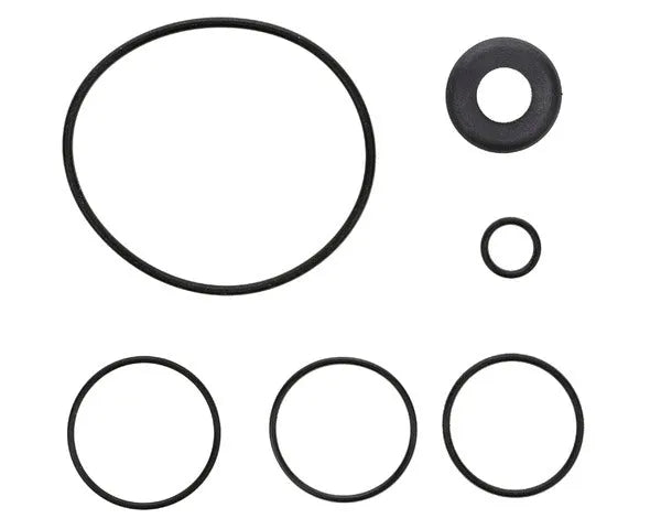 Gas terugwin O-ring | OXYRECAMBIOS49