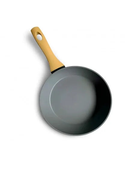 ALZA ARENA sartén aluminio 20 cm.